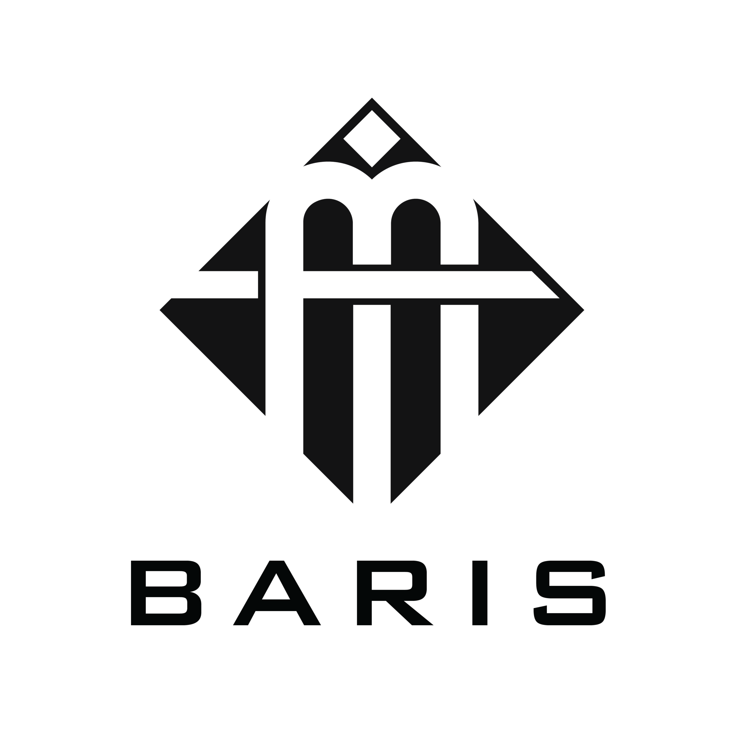 Baris Store